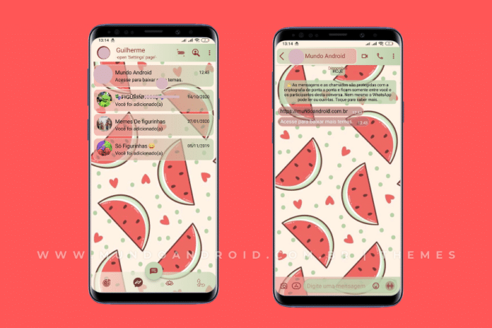 Melancia Theme - Tema para WhatsApp Aero